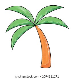 tropical palm icon