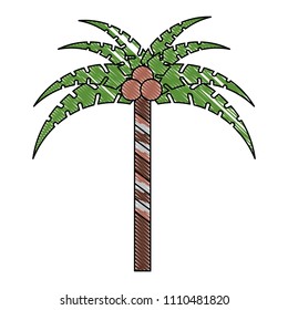 Tropical palm icon