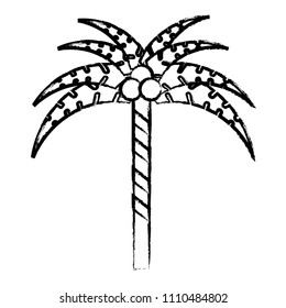 Tropical palm icon