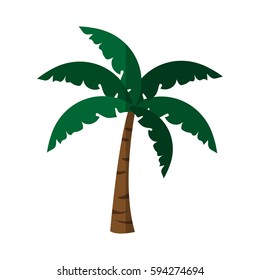 tropical palm icon