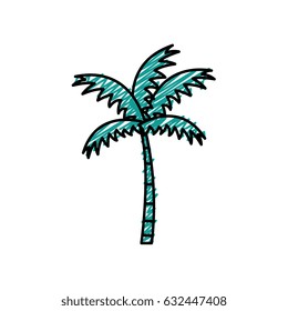 tropical palm icon