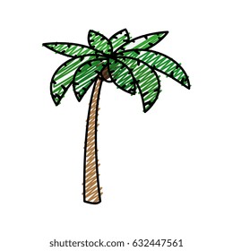 tropical palm icon