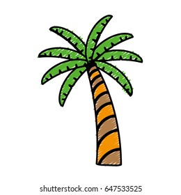 tropical palm icon