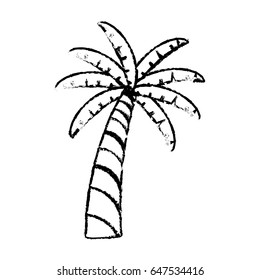 tropical palm icon