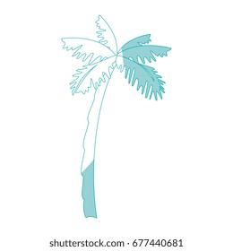 tropical palm icon