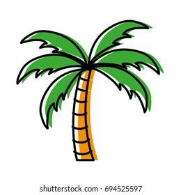 tropical palm icon
