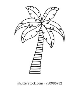 tropical palm icon