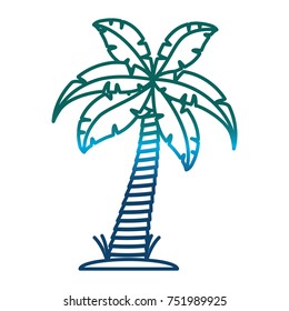 tropical palm icon
