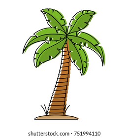 tropical palm icon