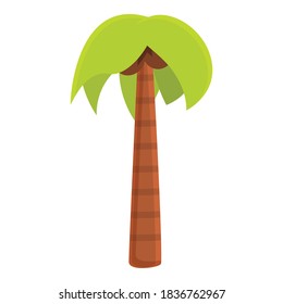 Tropical palm icon. Cartoon of tropical palm vector icon for web design isolated on white background