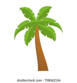 tropical palm icon over white background vector illustration