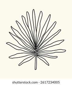 Tropical palm leaf. Abstract minimalist hand drawn tropical leaf illustration. Modern botanical vector illustration in black outline. Perfect for wall art, textile, branding, banners, packaging design