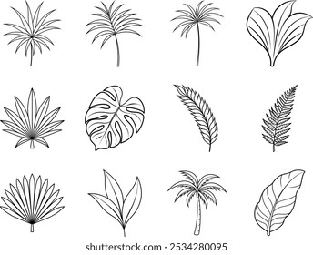 Tropical Palm Leaf Botanical Line Art Illustrations