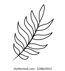 tropical palm leaf cartoon