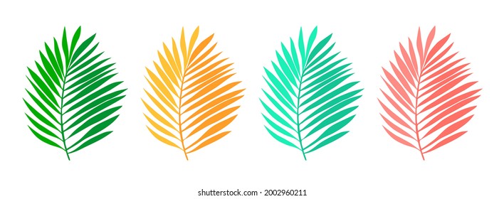 Tropical Palm Leaf collection vector illustration isolated