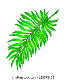 Tropical palm leaf. Exotic vector