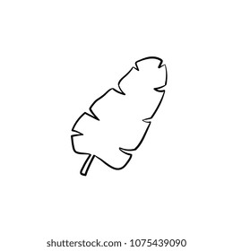 Tropical palm leaf hand drawn vector outline doodle icon. Vector sketch illustration of palm leaf for print, web, mobile and infographics isolated on white background.