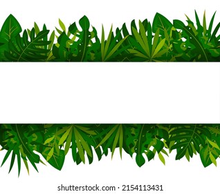 Tropical palm leaf horizontal banner flat style. Exotic foliage jungle summer border. Design card spa beauty salon cosmetics excursion paradise trip wedding holiday travel presentation template promo