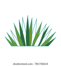 tropical palm leaf icon