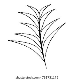 tropical palm leaf icon