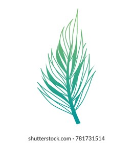 tropical palm leaf icon