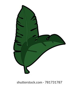 tropical palm leaf icon