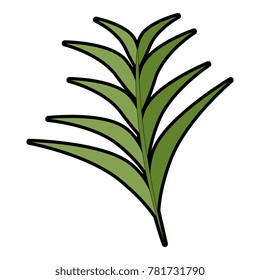 tropical palm leaf icon