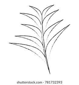 tropical palm leaf icon
