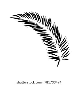 tropical palm leaf icon