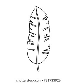 tropical palm leaf icon