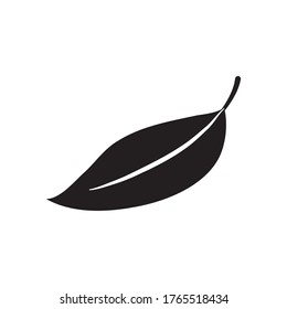 tropical palm leaf icon, silhouette style vector illustration