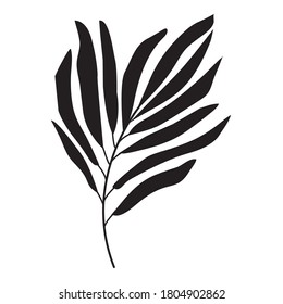 Icono de hoja de palma tropical. Ilustración del vector