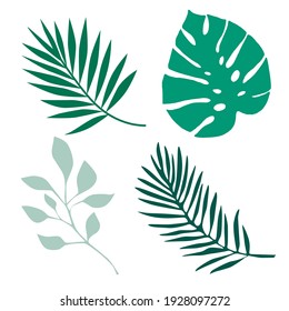 Tropical palm leaf illustration background