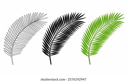 Tropical palm leaf illustrations in three styles: outline, solid black, and vibrant green. Ideal for botanical, nature, tropical, or design projects.