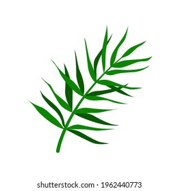 Tropical palm leaf. Isolated on a white background. Vector illustration