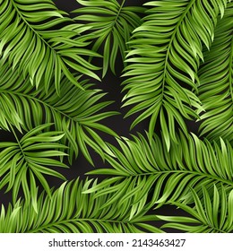 Tropical palm leaf isolated on white background. Realistic green summer plant. Vector floral illustration