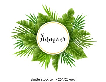 Hoja tropical de palmera aislada en un fondo blanco. Pancarta realista de árboles de plantas verdes de verano. Ilustraciones de ramas botánicas tropicales Ilustración floral vectorial