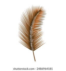 Tropical palm leaf isolated on a white background.