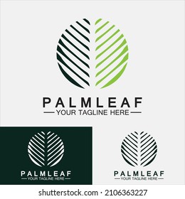 Tropical Palm leaf logo vector design template
