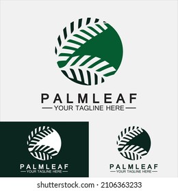 Plantilla de diseño del vector del logotipo de la hoja de palma tropical