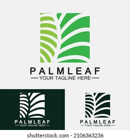 Tropical Palm leaf logo vector design template