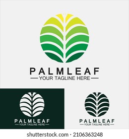 Tropisches Palmenblatt-Logo, Vektordesign-Vorlage