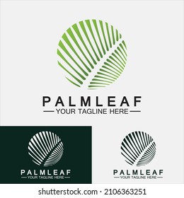 Tropical Palm leaf logo vector design template