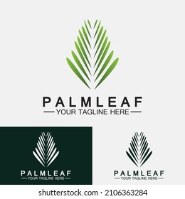 Plantilla de diseño del vector del logotipo de la hoja de palma tropical