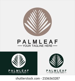 Tropical Palm leaf logo vector design template