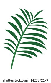 Tropical palm leaf nature cartoon vector illustration graphic design