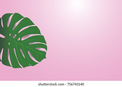 Tropical palm leaf on pink background. vector eps 10