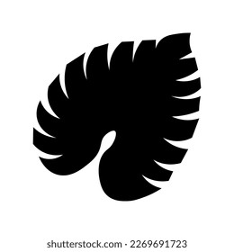 Tropical palm leaf on white background