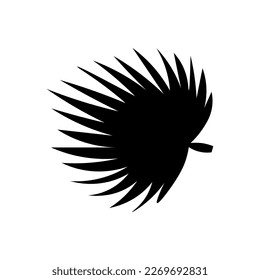 Tropisches Palmenblatt auf weißem Hintergrund
