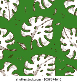 Fondo de esbozo de patrón vectorial de hoja de palmera tropical sin costura